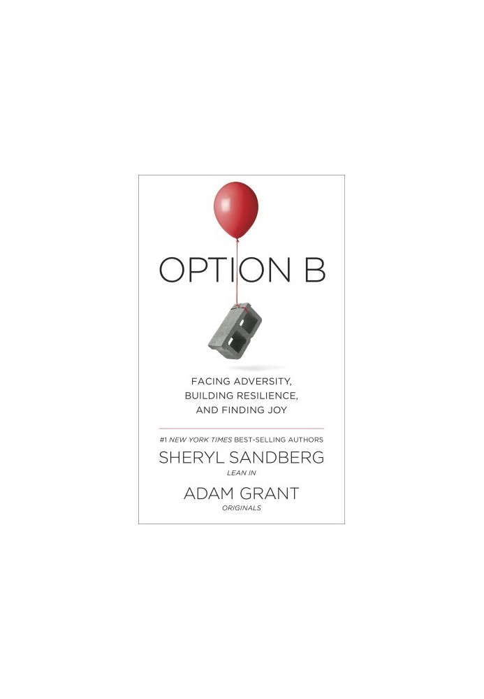 Option B: Facing Adversity, Building Resilience, and Finding Joy