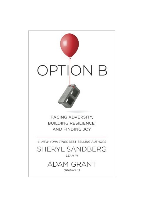 Option B: Facing Adversity, Building Resilience, and Finding Joy
