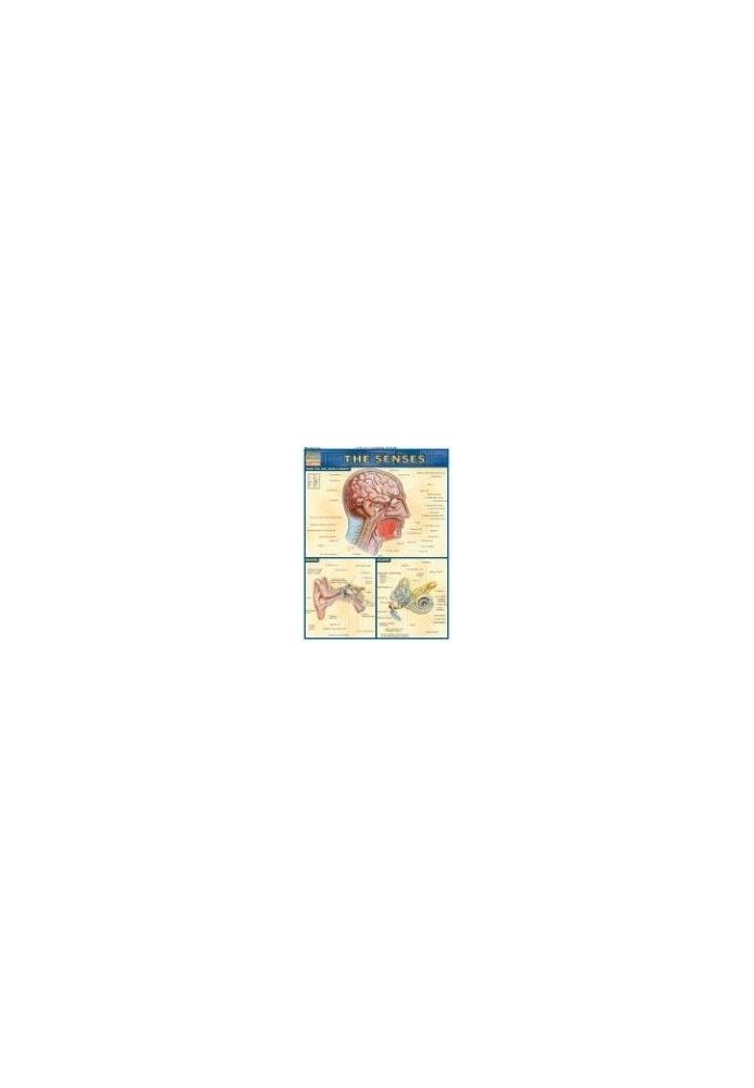 BarCharts QuickStudy The Senses