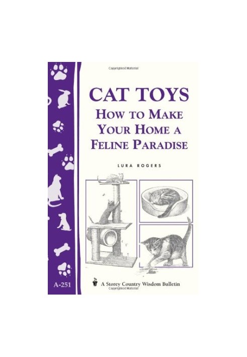 Cat Toys: How to Make Your Home a Feline Paradise