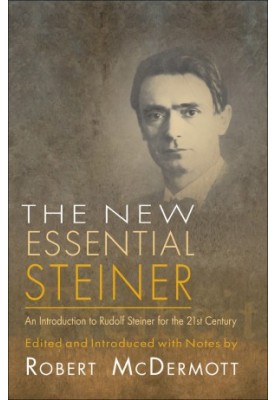 The new essential Steiner: an introduction to Rudolf Steiner for the 21st century