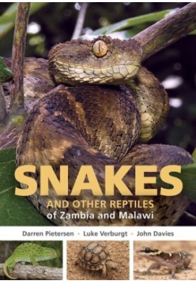 Field Guide to Snakes and other Reptiles of Zambia and Malawi.