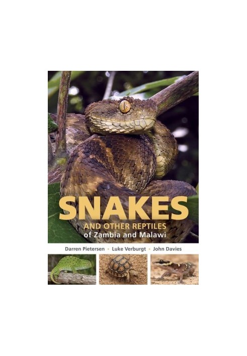 Field Guide to Snakes and other Reptiles of Zambia and Malawi.