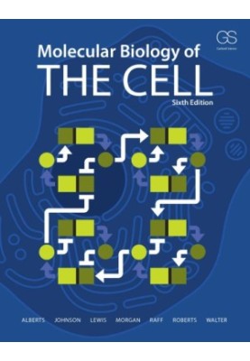 Molecular biology of the cell