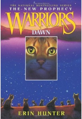 Dawn