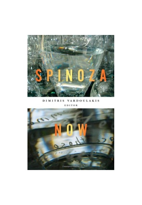 Spinoza Now