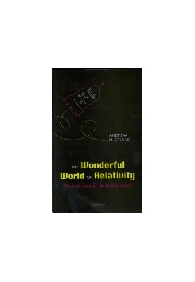 The Wonderful World of Relativity: A Precise Guide for the General Reader