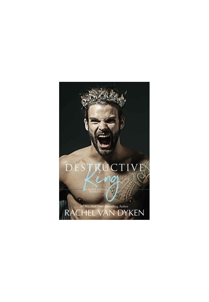 Destructive King: A Mafia Bully Romance