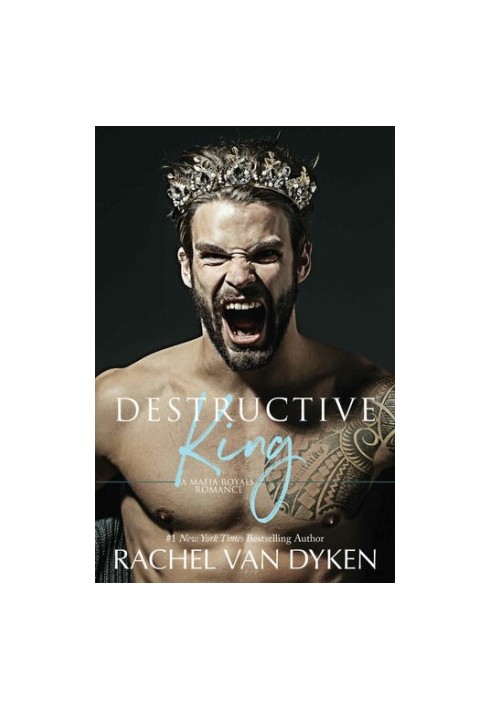 Destructive King: A Mafia Bully Romance
