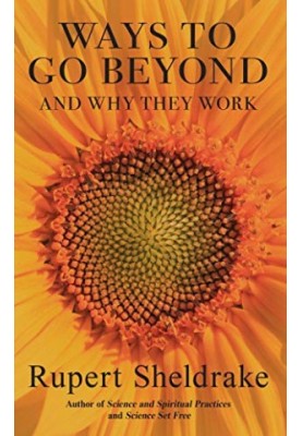 Ways to Go Beyond And Why They Work: Seven Spiritual Practices in a Scientific Age