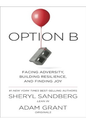Option B