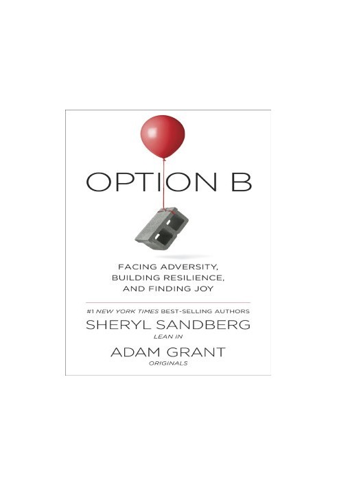 Option B