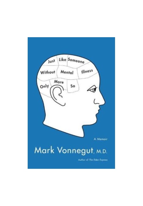 Just Like Someone Without Mental Illness Only More So: A Memoir