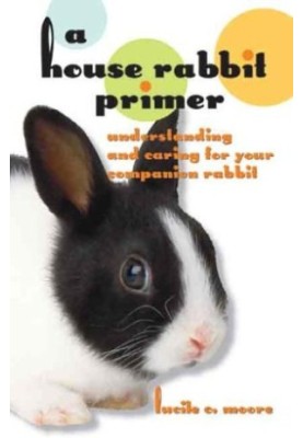 A House Rabbit Primer: Understanding and Caring for Your Companion Rabbit