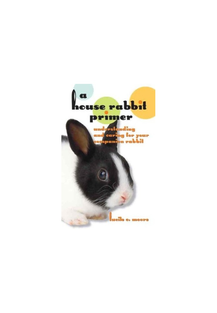 A House Rabbit Primer: Understanding and Caring for Your Companion Rabbit