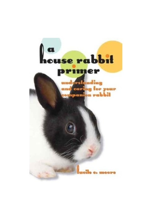 A House Rabbit Primer: Understanding and Caring for Your Companion Rabbit