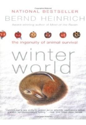 Winter World: The Ingenuity of Animal Survival