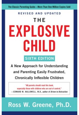 The Explosive Child