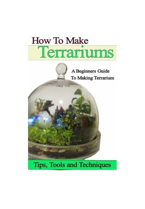 How to Make Terrariums A Beginners Guide to Make Terrarium