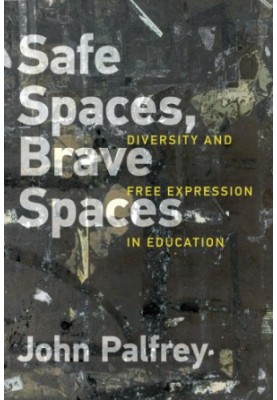 Safe Spaces, Brave Spaces: Diversity and Free Expression in Education