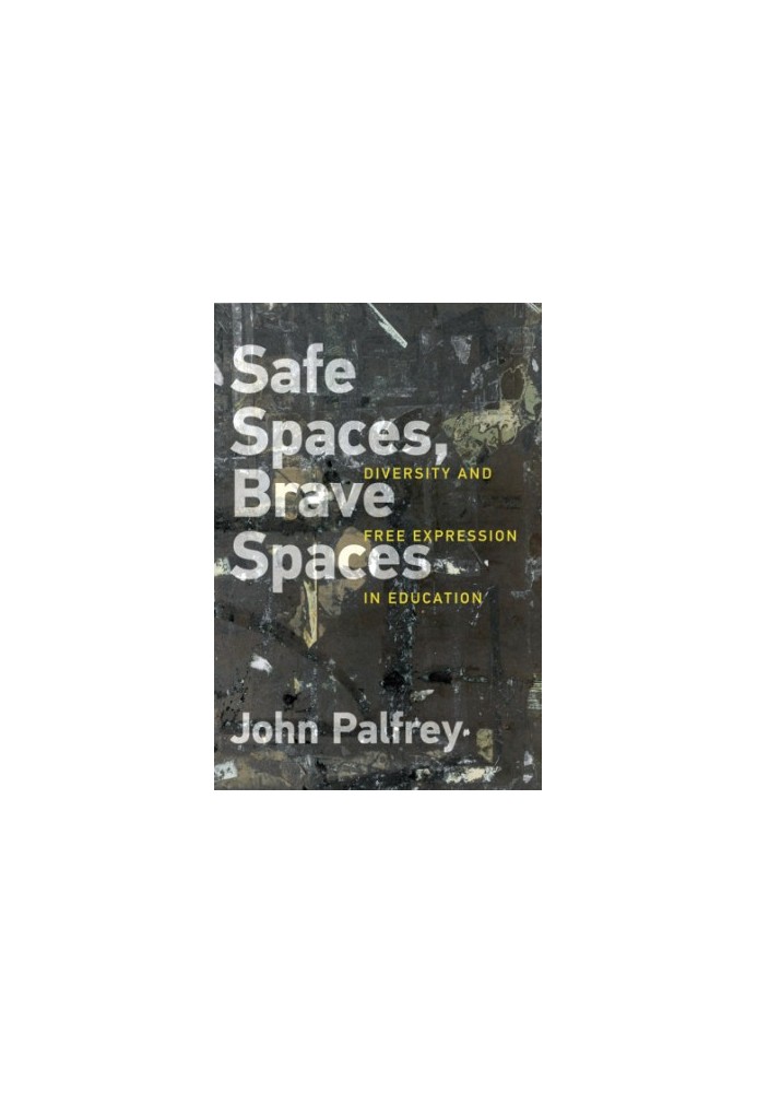Safe Spaces, Brave Spaces: Diversity and Free Expression in Education