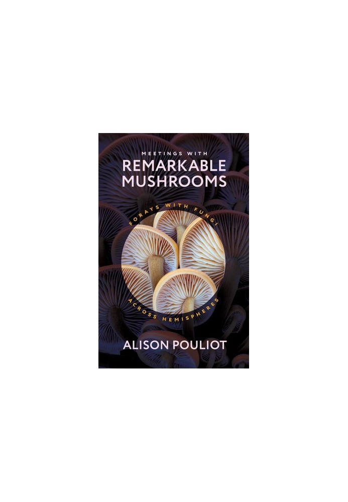 Meetings with Remarkable Mushrooms: Forays with Fungi across Hemispheres