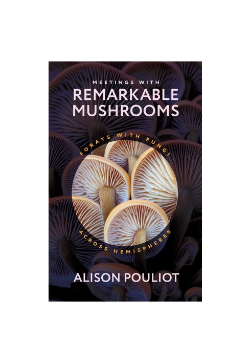 Meetings with Remarkable Mushrooms: Forays with Fungi across Hemispheres