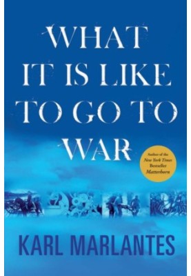 What it is like to go to war
