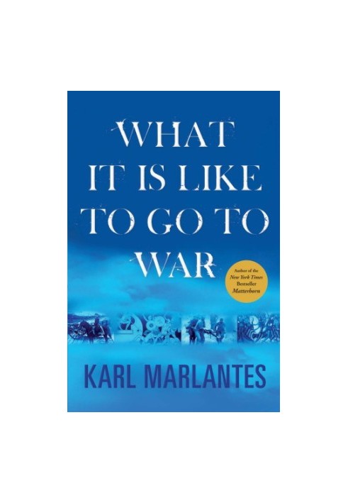 What it is like to go to war