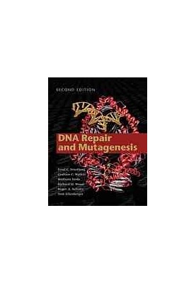 DNA repair and mutagenesis