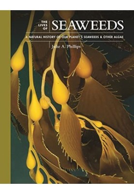The Lives of Seaweeds: A Natural History of Our Planet's Seaweeds and Other Algae (The Lives of the Natural World, 4)