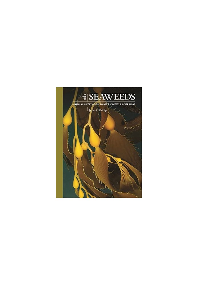 The Lives of Seaweeds: A Natural History of Our Planet's Seaweeds and Other Algae (The Lives of the Natural World, 4)