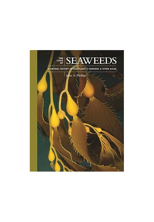 The Lives of Seaweeds: A Natural History of Our Planet's Seaweeds and Other Algae (The Lives of the Natural World, 4)