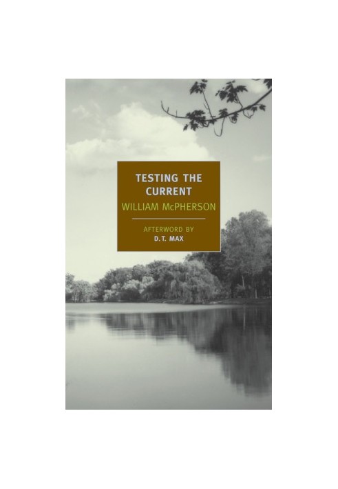 Testing the Current