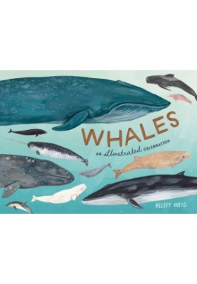Whales: An Illustrated Celebration