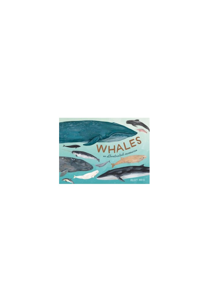 Whales: An Illustrated Celebration