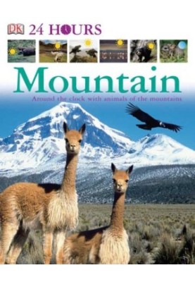 Mountain (DK 24 HOURS)