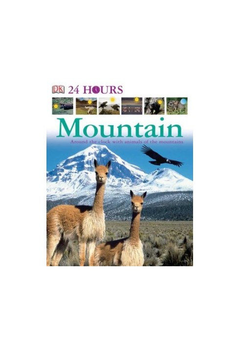 Mountain (DK 24 HOURS)