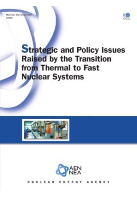 Nuclear Development Strategic and Policy Issues Raised by the Transition from Thermal to Fast Nuclear Systems.