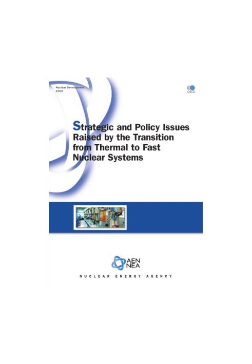 Nuclear Development Strategic and Policy Issues Raised by the Transition from Thermal to Fast Nuclear Systems.
