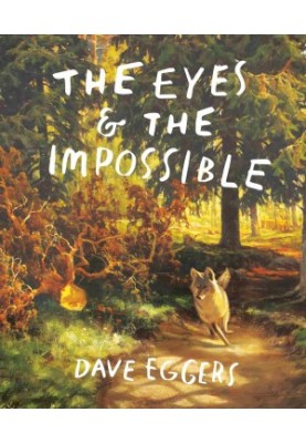 The Eyes and the Impossible