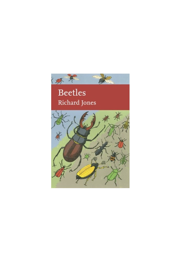 Beetles