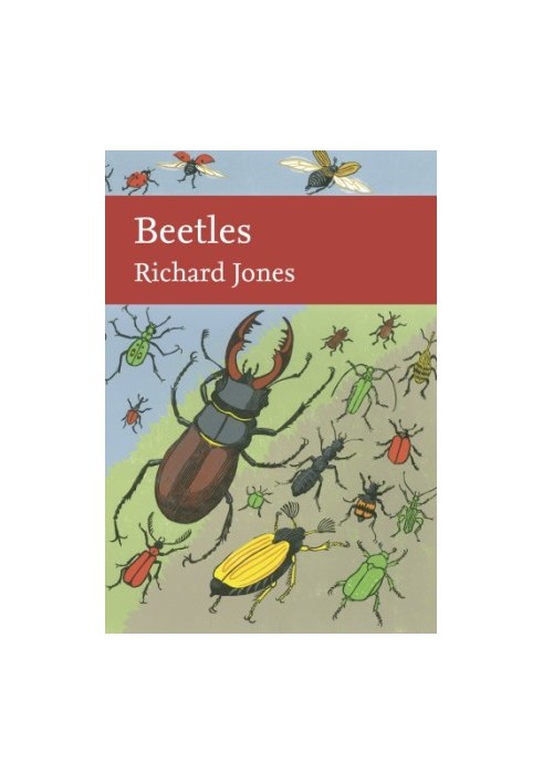 Beetles