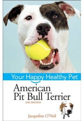 American Pit Bull Terrier.
