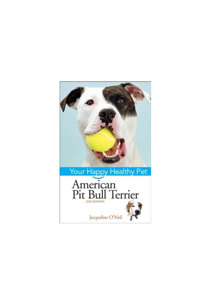 American Pit Bull Terrier.