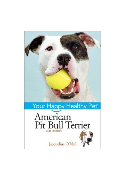 American Pit Bull Terrier.
