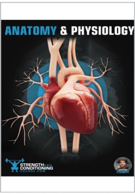 Anatomy & Physiology: A Simplified Guide To The Structures And Systems Of The Human Body