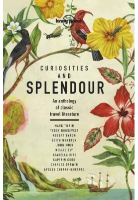 Curiosities and Splendour