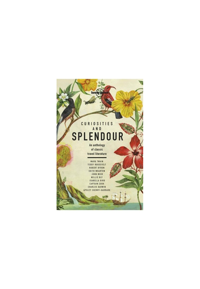 Curiosities and Splendour