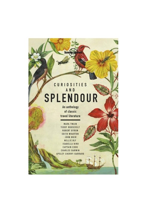 Curiosities and Splendour